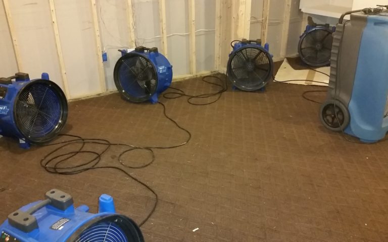 water removal service